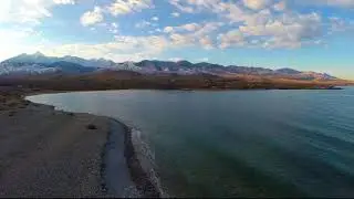 тамга барскоон