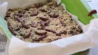 Katzenklo Kuchen für Halloween Video