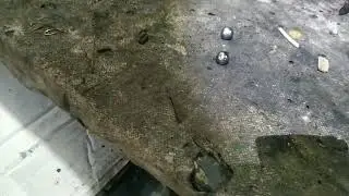 ,, Деревянный шарик