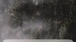 Моя трансляция