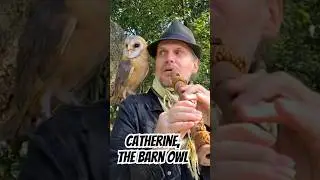 The Barn Owl and the Flute: A Magical Music Video Prep