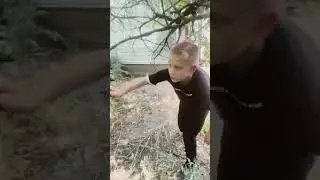 14 июня 2024 г.