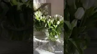 Белые тюльпаны, холст, масло #натюрмортмаслом #цветымаслом