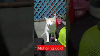 Mahal ng gold tiis nlang #asmr #reels #shortvideo