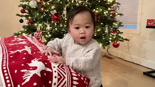 Koa Christmas 2022