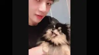 CUTIE KIM YEONTAN SHORT