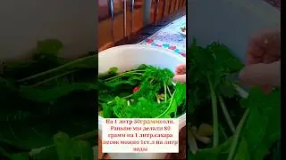 #рецепты #shorts #заготовкиназиму