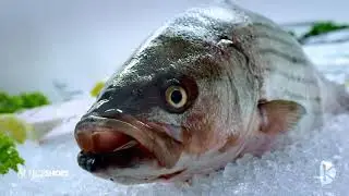Epanova Fishtalk - Talk Show