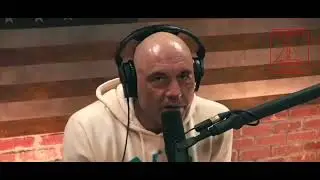 Тупик подготовки или мнение опытных спортсменов о спаррингах.