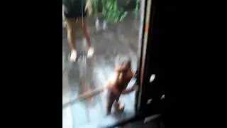 Eu e meu irmão tomando banho de chuva eee!!!😘