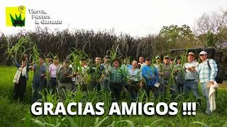 Aprende desde 0 en nuestros Seminarios