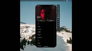 Flutter UI - Album View