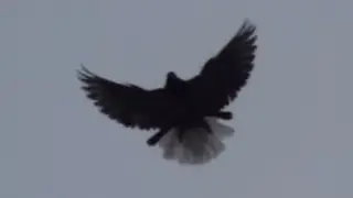 Складна ситуація