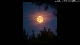 yvngxchris x yourstepdad type beat ‘rises the moon’