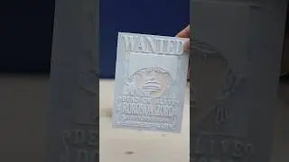 3D printing Wanted Poster of Zoro LED frame #roronoazoro #onepiece #shorts