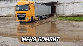 ПРИНИМАЮ КОРМИЛЬЦА ПОСЛЕ ОТПУСКА, ВНЕШНИЙ ВИД ИСПОРЧЕН!