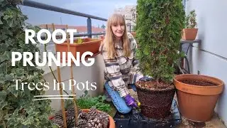 Root Pruning Container Grown Trees