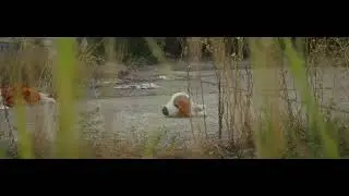 Kampus Borongaj / Laowa Nanomorph / BMPCC4K
