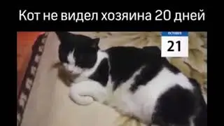 Александр Айвазов Здравствуй, Любовь моя