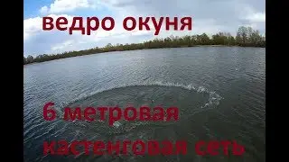 Рыбалка на кастинговую сеть  паук VS сеть ничья!