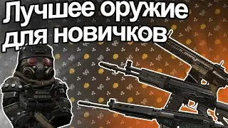 STALCRAFT Лучшее Ветеранское Оружие для Новичков