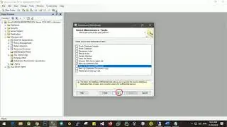 How to Create Scheduled Database Backup in MSSQL Management Studio