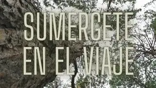 Energía fina