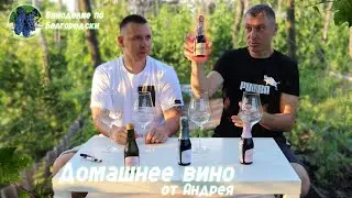 Домашнее вино от Андрея!!!