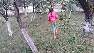 смішні коти 3