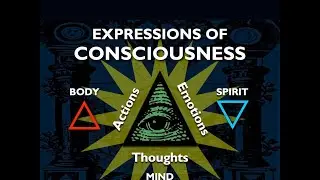 What is CONSCIOUSNESS & How Does it Express in our Life
