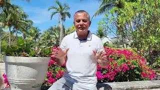 Mirziyoyev chet elga chiqib ketganlar fuqaroligini tiklaydimi? Каримов фуқаролигимни бекор қилган