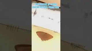 #kimetsunoyaiba