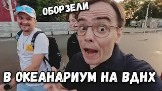 Влог. Отправились в Московский океанариум на ВДНХ. Они уже все обнаглели, планы пришлось менять