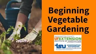 Beginning Vegetable Garden