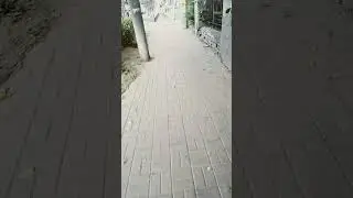 разборки в пробке 