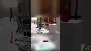 Vei's New Room Looks Familiar...