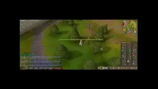 Runescape -  Demanche1 99 Woodcutting and Party