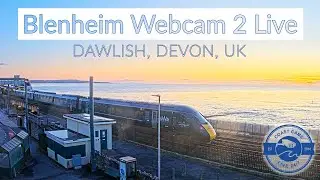 Blenheim Webcam 2 - Dawlish 4k Webcam Sponsored by the Shoe Centre & Co