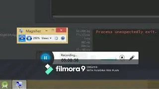 Process unexpectedly exit.
