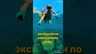Морские ретриты от #freetravelworld
