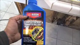 Repairing Termite Damage in a Slab Foundation