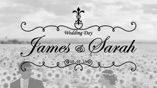 Wedding Titles - After Effects Tutorial! │ Animating Wedding Titles for Wedding Videos!