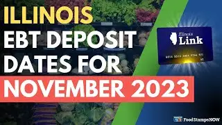 Illinois Food Stamp Deposit Dates for November 2023