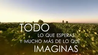 Marca España. “Todo lo que esperas y mucho más de lo que imaginas”