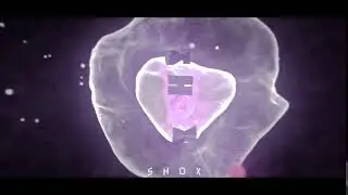 Sallox | Entry 