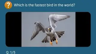 Which is the fastest bird in the world