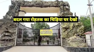 रोहतक का चिड़ियाघर | Zoo vlogs