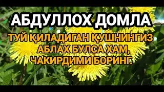 АБДУЛЛОХ ДОМЛА ТУ́Й ҚИЛАДИГАН ҚУ́ШНИНГИЗ АБЛАХ БУ́ЛСА ХАМ,ЧАҚИРДИМИ БОРИНГ.
