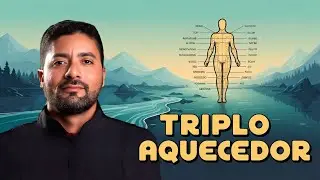 Anatomia dos meridianos de acupuntura & Sinais e Sintomas - Episódio 10 - Triplo Aquecedor