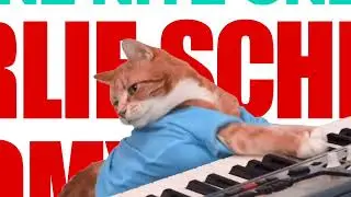 Keyboard Cat meme art show!!!  Please join!!!